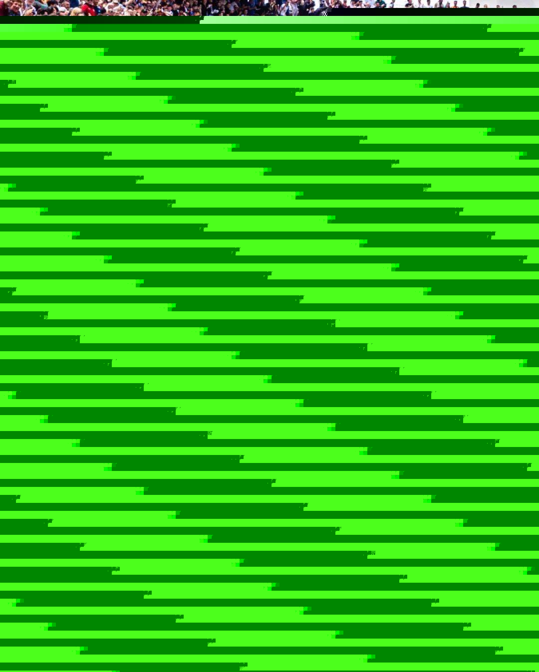 国家队注入